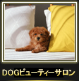 DOGr[eB[T